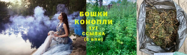 PSILOCYBIN Алексин