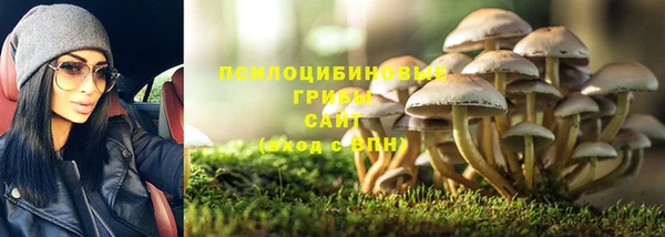 PSILOCYBIN Алексин