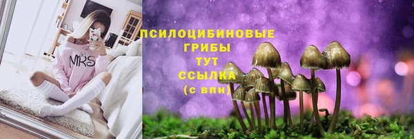 ПСИЛОЦИБИНОВЫЕ ГРИБЫ Алексеевка