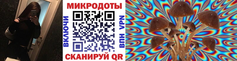 Галлюциногенные грибы мухоморы  Топки 