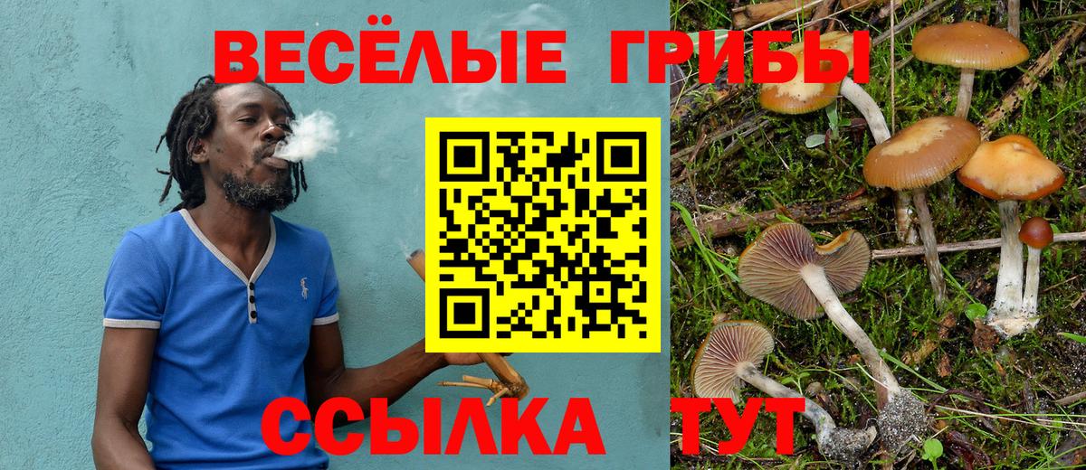 Псилоцибиновые грибы MAGIC MUSHROOMS Топки